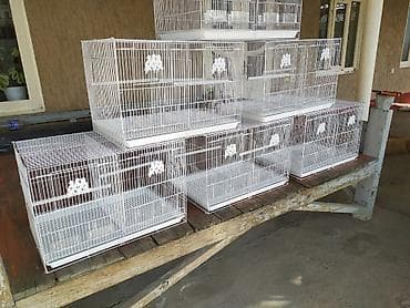 А\ч жаныбралары үчүн товарлар жана шаймандар: Клетки для птиц (модульные, разборные), белый металл - Материал — 2