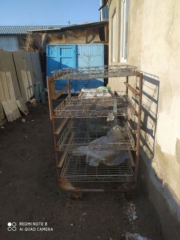 Соода жабдуулары: Стеллаж Жашылча, мөмө-жемиштер үчүн, Дөңгөлөктүү, 165 см * 85 см * 65 см — 1