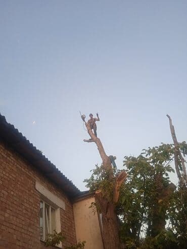 Бала бакчалар, бала багуучулар: Пильщик#1 по городу спилю все всегда стараюсь чтобы вам нравились как — 3