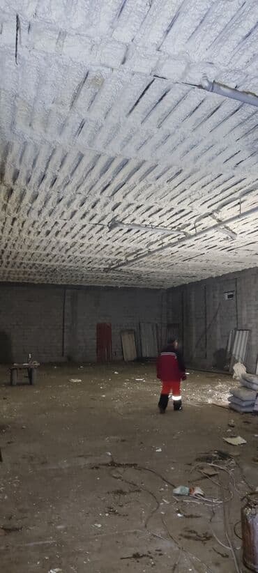 утепление домов фасадов: Утепление потолоков, Утепление крыши | Утепление завода, Утепление цеха, Утепление склада | Пенополиуретан Больше 6 лет опыта — 12