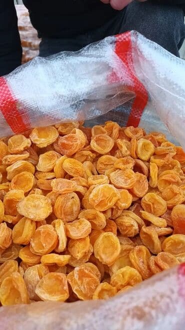 установка капельный полив: Ассалом алейкумбаткендин натуральный оругуарзан оптом сатылат — 10