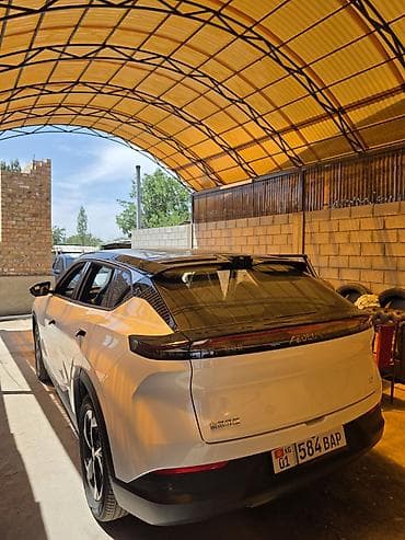 dongfeng: Dongfeng : 2025 г., Электромобиль — 2
