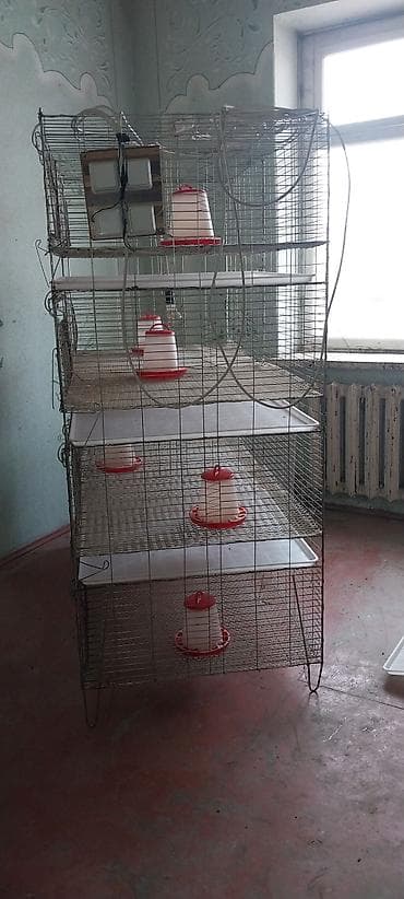 pro plan: Многоярусная клеточная батарея для цеплятперепелов — 1