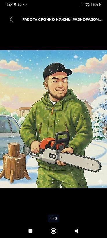 бур садовый: Спил обрезка опасных деревьев без повреждений труб проводов крыш. опыт — 1