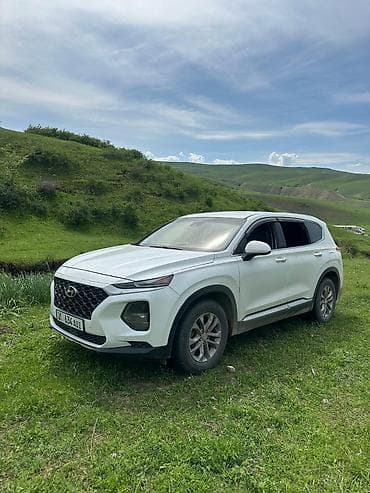zero x neo: Hyundai Santa Fe: 2018 г., 2.4 л, Автомат, Бензин, Кроссовер — 3