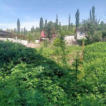 участок белек: 5 соток, Для строительства, Красная книга, Договор купли-продажи — 3