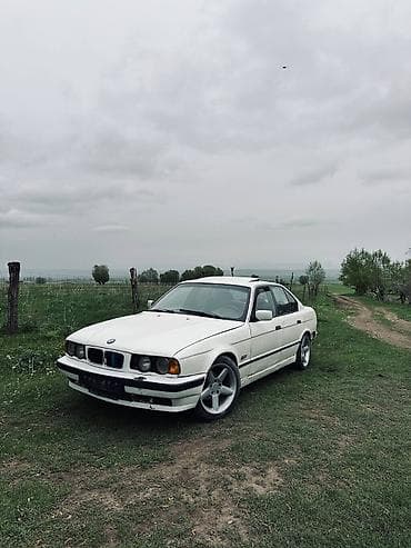 колф 3: BMW 5 series: 1994 г., 2.5 л, Седан — 1
