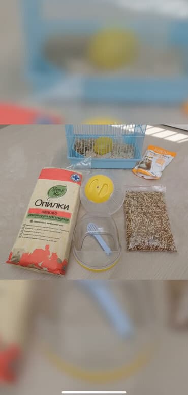 питомник чихуахуа бишкек: Продаю
Малышку Хомячок цена 2500сом — 1