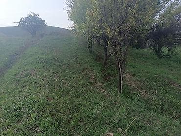 haunted mound: 15 соток, Для строительства — 10