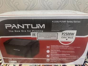 microlab m800: Лазерный принтер Pantum P2500W (серия P2200/P2500), цвет корпуса — 2