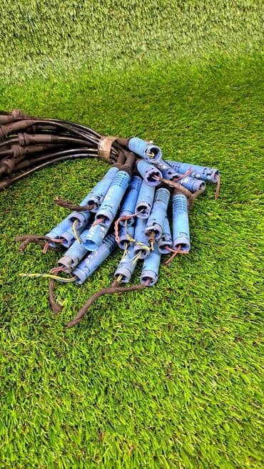 runx alex: Айлануучу моменттин датчиги BMW 2004 г., Колдонулган, Оригинал, Германия — 2