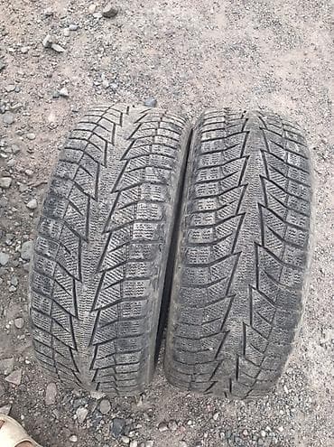 диск ипсум: Шины 205 / 55 / R 16, Зима, Пара, Легковые, Hankook — 1