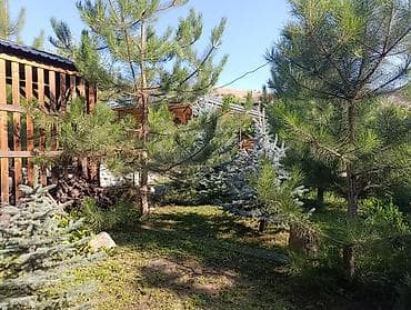 рынок недвижимости бишкек: Продаю дачу, совмещённые 3 участка по 5 соток, с документами на 3 — 10