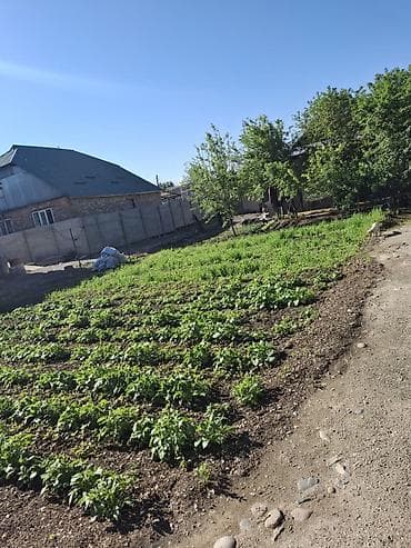 барачные дома: 1000 м² — 9