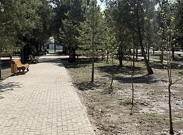 1 комната, 49 м², Элитка, 8 этаж, ПСО (под самоотделку) — 5