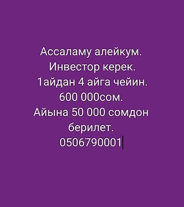 Услуга: требуется инвестор. - Сумма инвестиций: 600 000 сом. - Срок