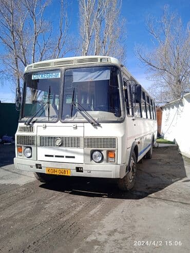 тягач двух мостовой: Автобус, ПАЗ, 2008 г., 40 и более мест — 1