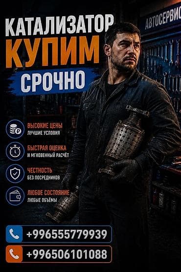 Аксессуары и тюнинг: Скупка каталитических нейтрализаторов. - Срочно покупаем — 1