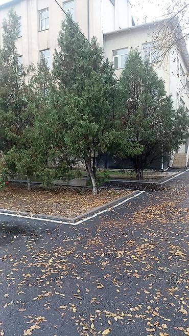 Жылытуу: Асфальтирование и благоустройство территорий под ключ Профессионально — 4