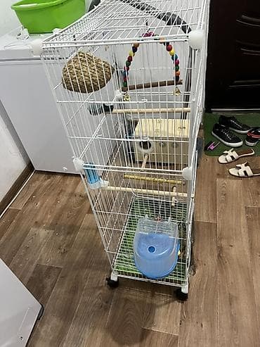 ри: Защитные сетки от птиц, Самовывоз — 4