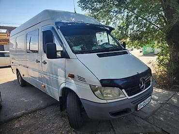 купить скотовоз: Mercedes-Benz Спринтер: 2004 г., 2.9 л, Механика, Дизель, Фургон — 1