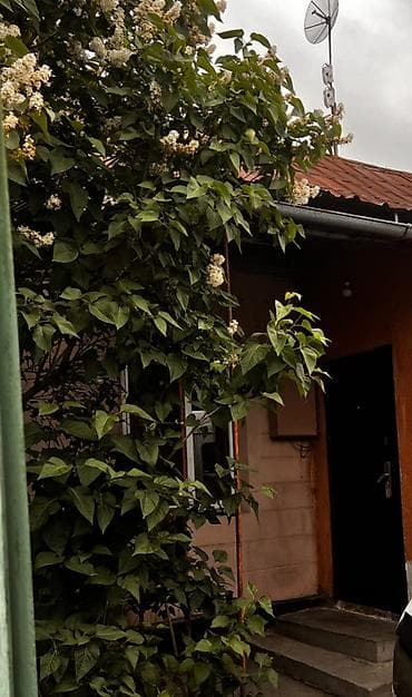 участок кызыласкер: Продаю дом с участком и садом в элитном уютном и спокойном районе — 4