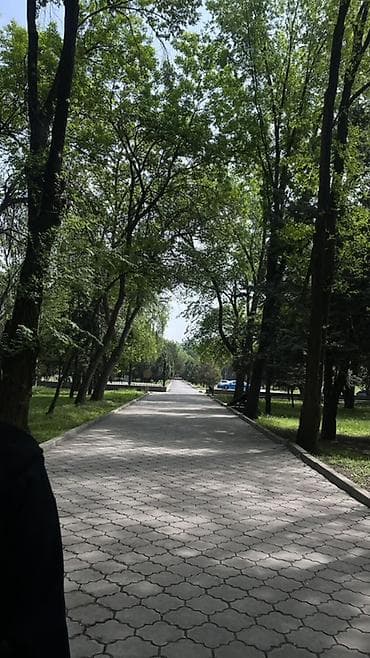 Квартира берилет только кыздар Аламидин рынок 6000 сом студент