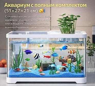 рыбки с аквариумом: Аквариум с полным комплектом объем 30 литров Фильтр ✅Грунт 200 г — 1