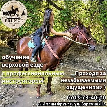 баста концерт бишкек: Конные прогулки и обучение верховой езде FRUNZE - Прогулки на — 3