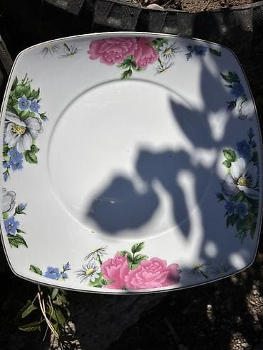 Кафелер, ресторандар үчүн: Посуда б/у Фруктовницы 3шт -1500с Для нарезки 4шт-1500 Тарелки — 5