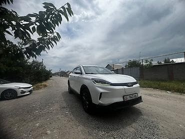 yuan plus byd: Weltmeister 2020 г. — 6