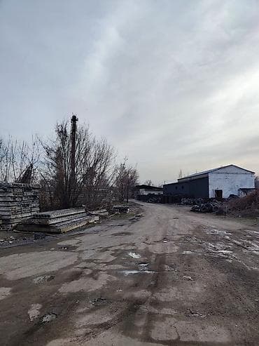 асфальт завод: 100 соток — 5