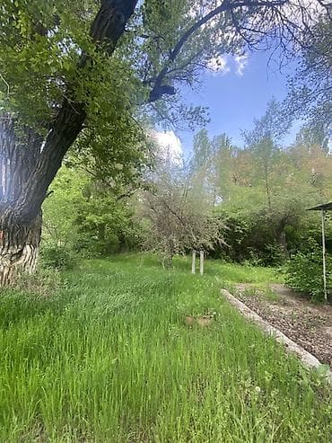 кашар аренду: 4 соток, Для строительства, Красная книга — 5