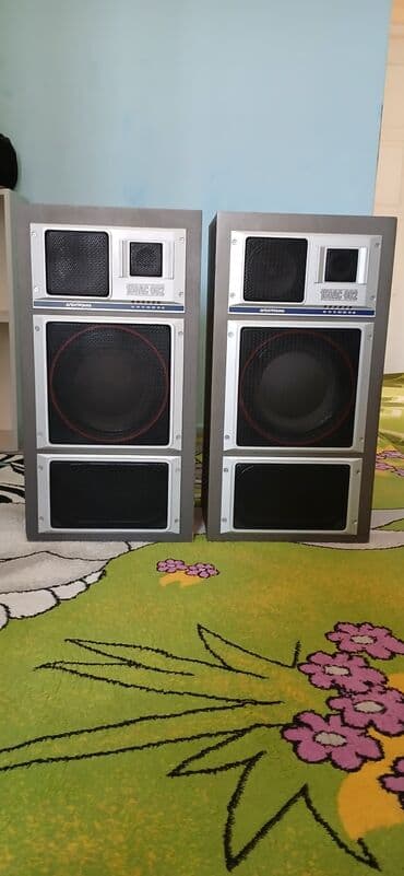 буфер для компьютера: Продаю колонки. Электроника 15Ac 002 переделанные в отличном состоянии — 1