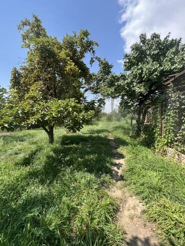 продажа дома в токмаке: Дом, 40 м², 2 комнаты, Риэлтор, Косметический ремонт — 13