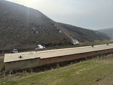 гостевые дома на иссык куле: 10 соток, Для сельского хозяйства, Красная книга — 4