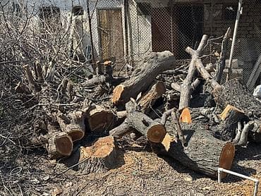 уголь в мешках кара кече: Дрова — 3