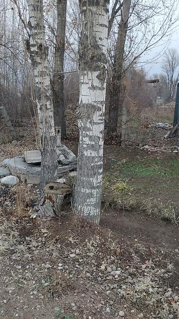 сверление бурение: Терек сатам алчуулар болсо жазкыла чалгыла — 3