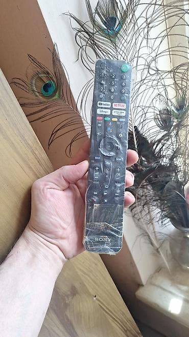 Телевизор Sony X80J 55" (KD-55X81J) с Google TV Основные