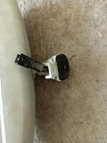 volk: Шаран — 2