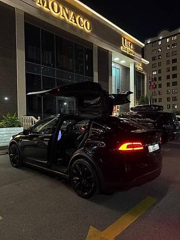 Tesla: Tesla Model X: 2020 г., 0.1 л, Автомат, Электромобиль, Кроссовер — 9