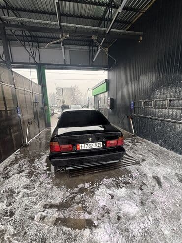 чехол на бмв: BMW 5 series: 1992 г., 2.5 л, Механика, Бензин, Седан — 3