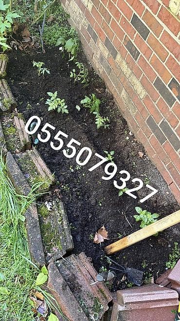 помидоры продаю: Плодородный грунт (чернозём/перегной) в мешках доставка по городу от — 2