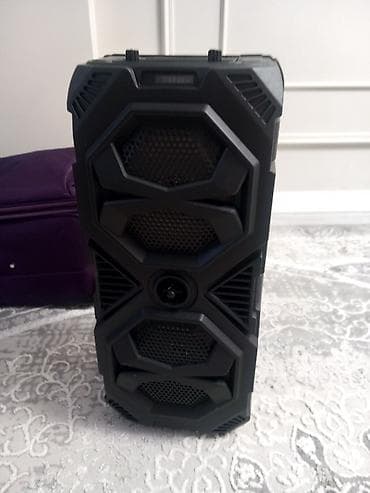 psp 2013: - Форм‑фактор: напольная колонка-тележка с выдвижной ручкой и — 4