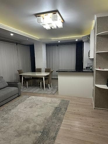 площадь: 2 комнаты, С мебелью полностью — 3