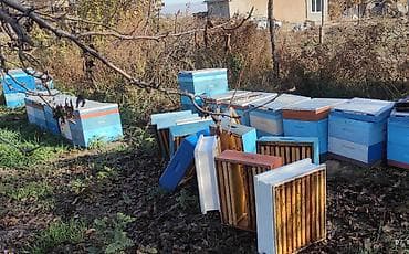 фрезерные работы: Пасечный инвентарь и ульи - Деревянные ульи мультиярусные — 2