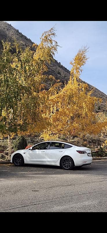 лупа фара: Tesla Model 3: 2023 г., 0.1 л, Автомат, Электромобиль, Лифтбек — 1