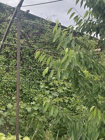бишкек участка: 17 соток, Бизнес үчүн, Сатып алуу-сатуу келишими, Белек келишими — 5