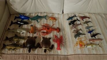 сколько стоит говорящий кактус: Фигурки обитатели морей 25шт. Большой набор. Рыбы, акулы, дельфины — 9