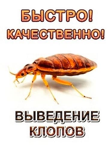 Клининг кызматтары: Дезинфекциялоо, дезинсекциялоо, | Канталалар, Таракандар, Бүргөлөр, | Жертөлө, ороо, Офистер, Батирлер — 1